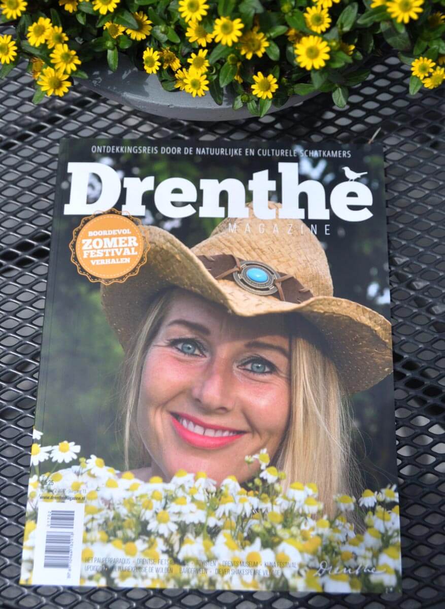 Sanne Bruinsma Illustraties & Vormgeving illustratie drenthe magazine editie 2 2017 fietsen in Drenthe zoekplaat tijdschrift provincie Drents cultureel natuur